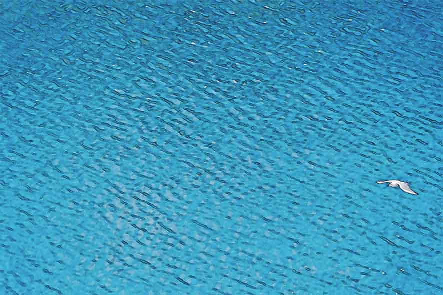 芦屋プラン株式会社 宇治市植物公園